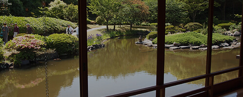室内から見える池の写真