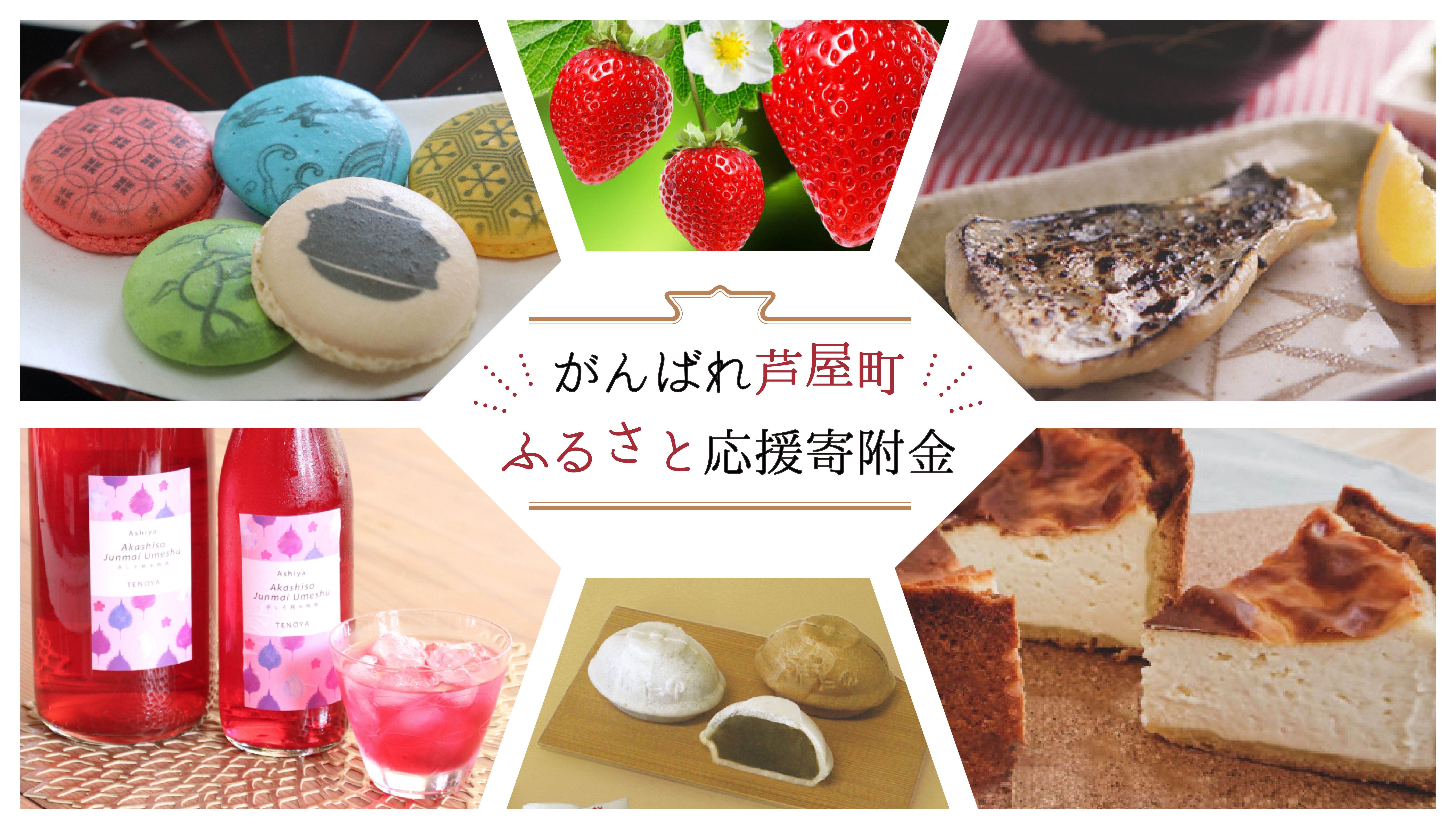 芦屋町ふるさと納税