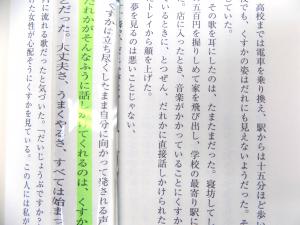 リーディングルーペ2
