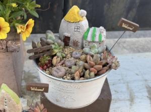 講座で制作する作品のイメージ写真です。鉢に数種類の多肉植物を寄せ植え、家のミニチュアを飾っています。