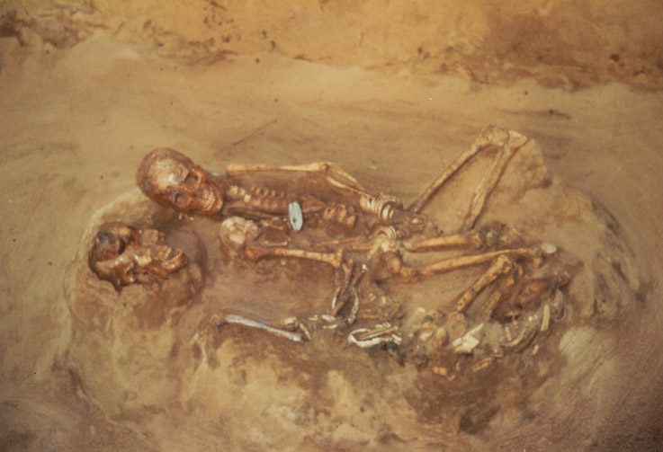 山鹿貝塚出土人骨の画像