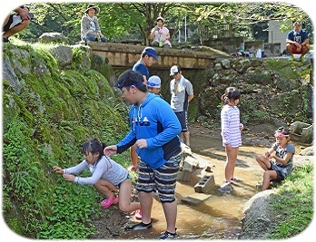 川で生き物を探している写真です