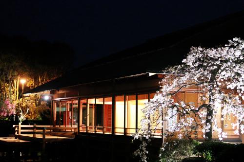 夜、明かりの点った大茶室とライトアップされたしだれ桜