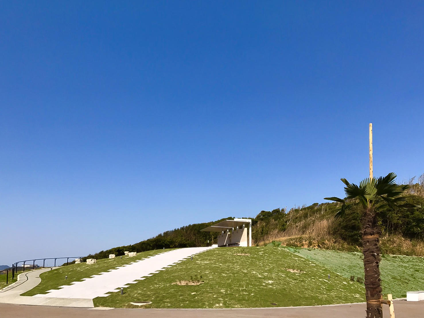 夏井ヶ浜のはまゆう群生地の画像3