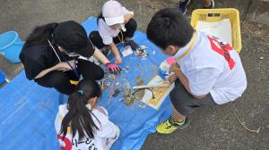 集めたゴミを調べている写真です。