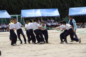 3年競争遊戯