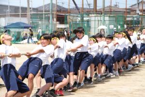 綱引き