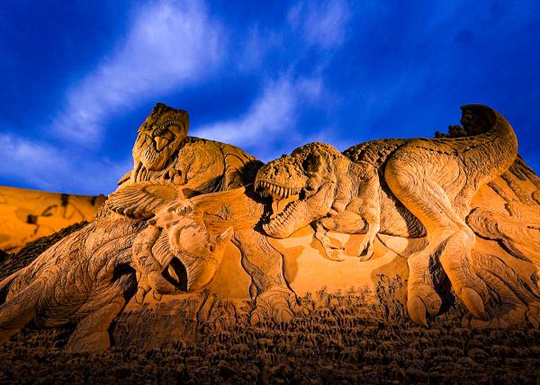 写真コンテスト大賞