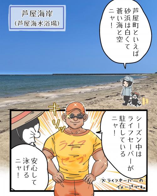 夏のおすすめ3