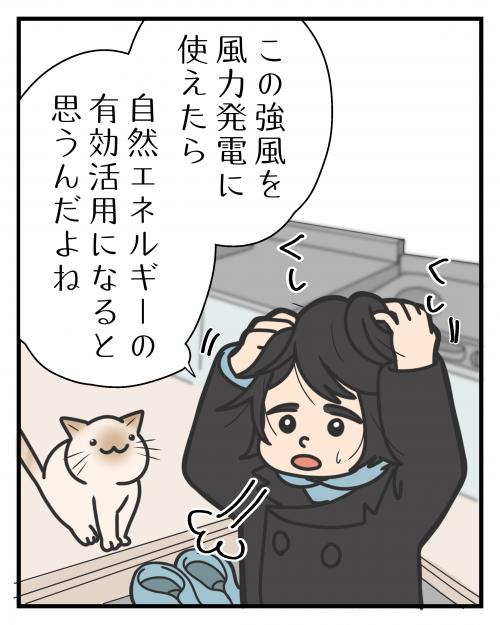 芦屋町って風強くない！？