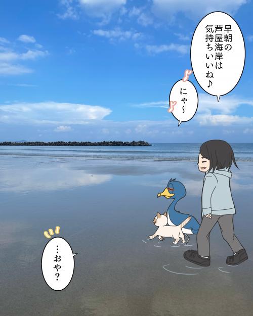 小さいイカを見つけた１