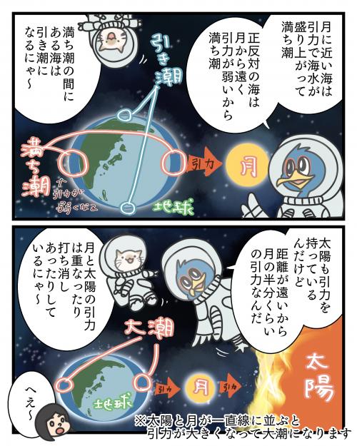 小さいイカを見つけた３