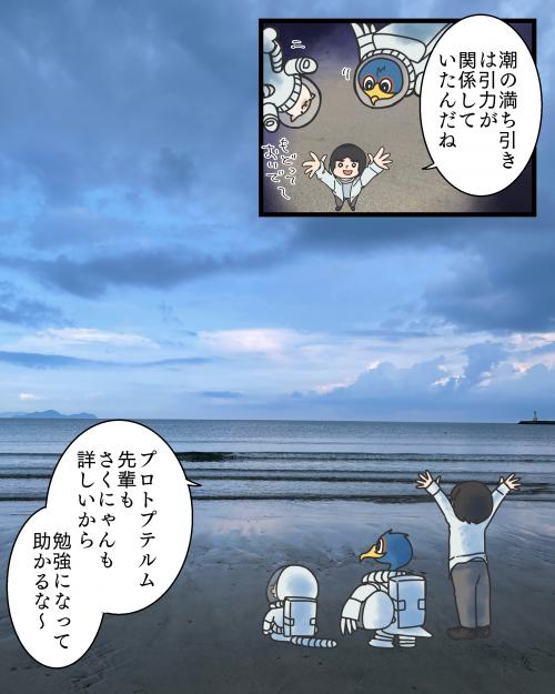 小さいイカを見つけた４