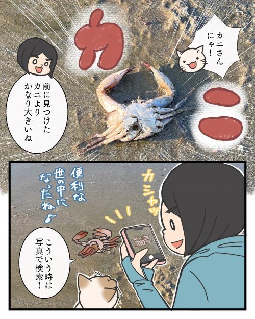 大きなカニを見つけた話２