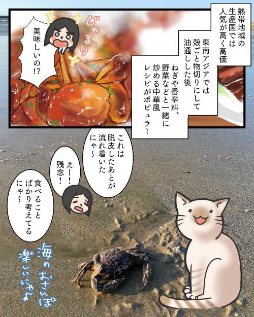 大きなカニを見つけた話４