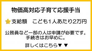 物価高対応子育て応援手当