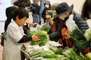 野菜販売を手伝っている写真です