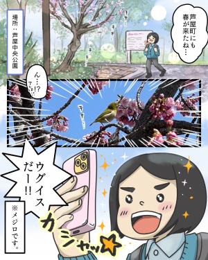 ウグイスかメジロか