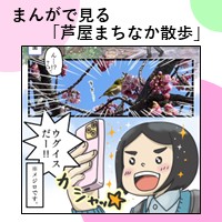 まんがで見る「芦屋まちなか散歩」